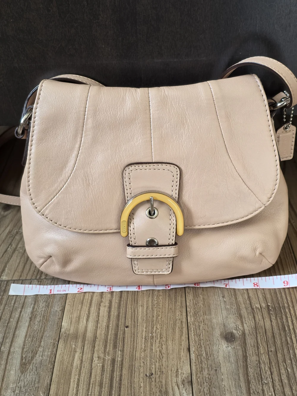 Coach Blush Pink Leather Crossbody with Gold-Tone Buckle